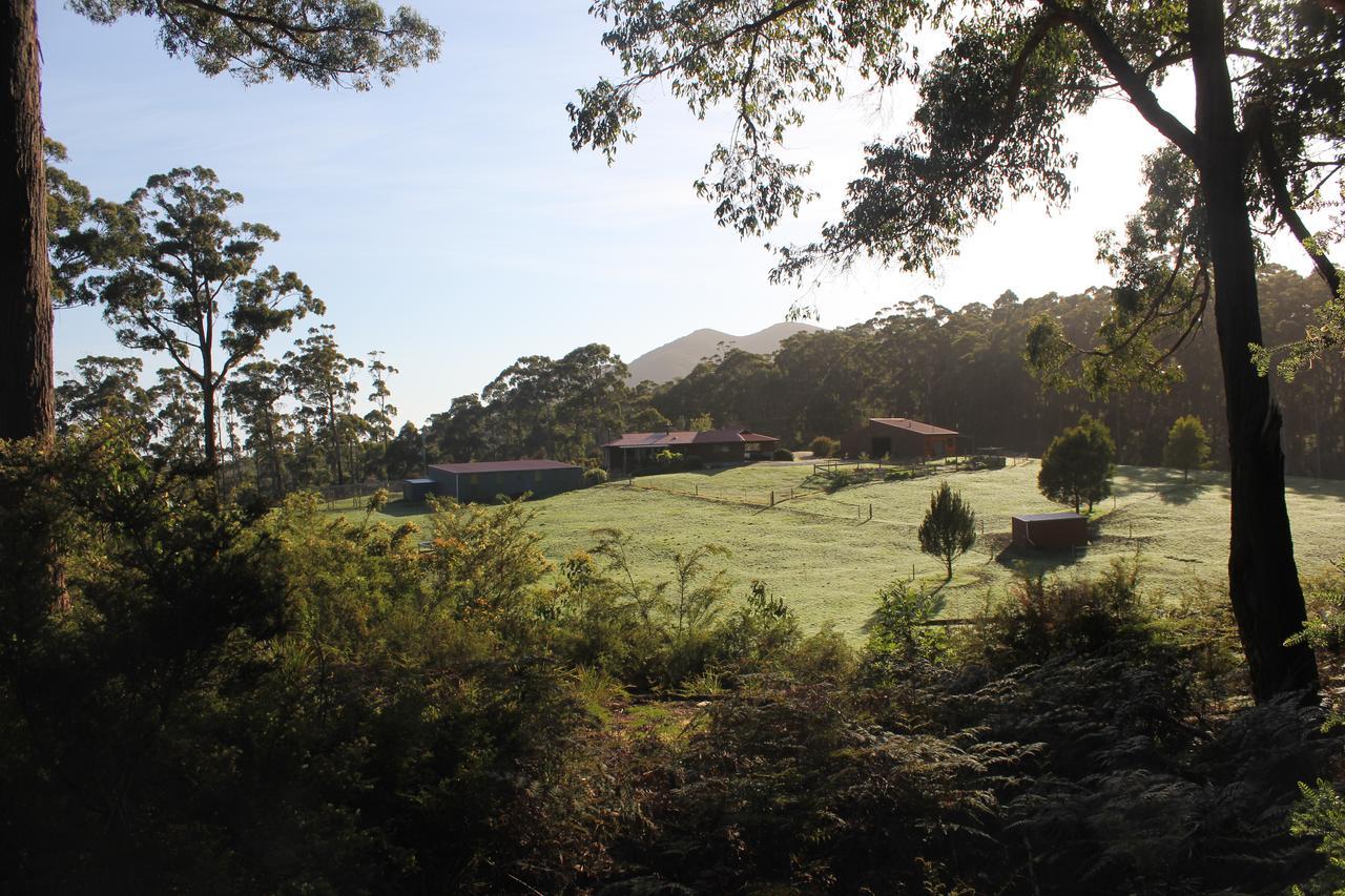 Eagle'S Roost Farmstay B&B Rocky Cape Exterior foto